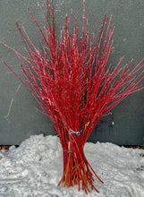 Branches de Cournoyer