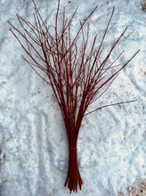 Branches de Cournoyer